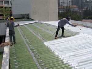 Coating